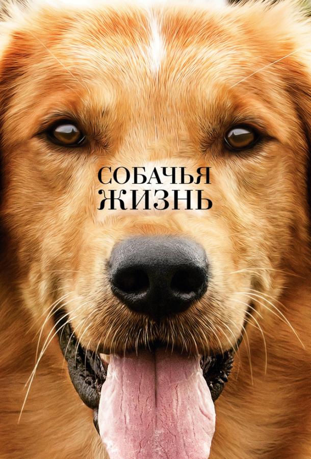 Собачья жизнь 2017 фильм смотреть онлайн с Габриель Роз и Люк Кирби